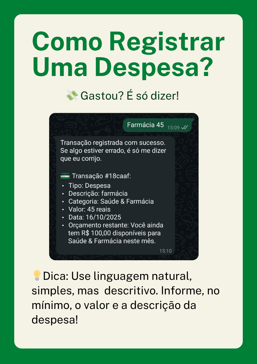 Como Registrar Despesa